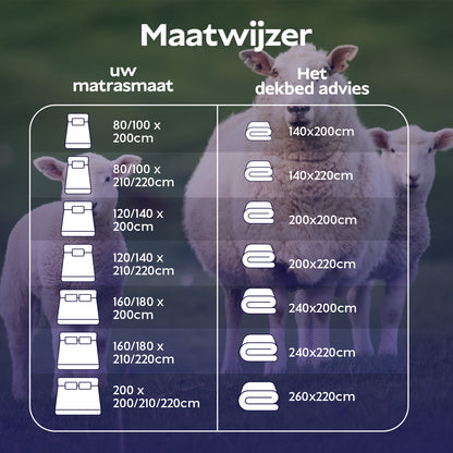 Densi Texels Scheer Wollen 4-Seizoenen dekbed